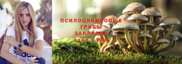кристаллы Гусев