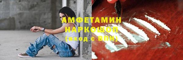 соль ск Дмитров