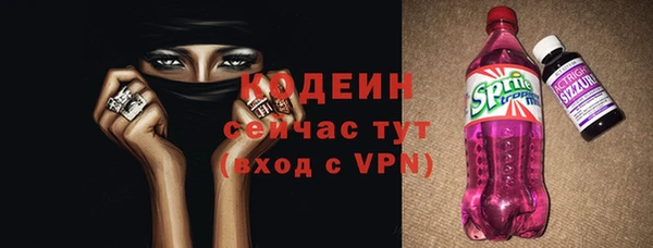 соль ск Дмитров