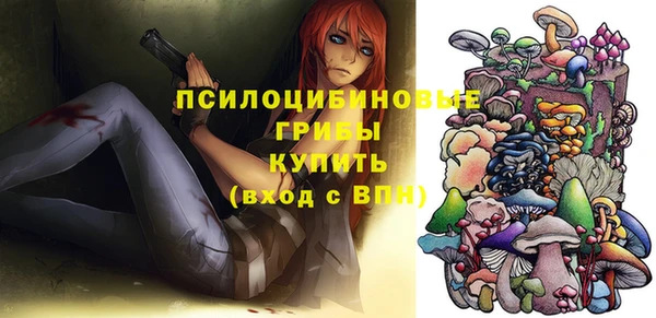 кристаллы Гусев