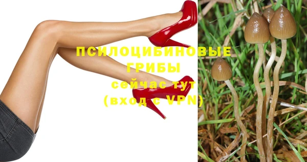 дмт Гусь-Хрустальный